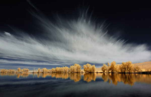 Trees, clouds and water, Newton reservoir Utah